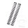 Fork spring linear YSS spring rate 11.0 for Aprilia RSV4 1000 R ABS APRC Racing Factory LE