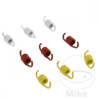 Set di molle della frizione per Honda FES 125 Pantheon 2T...