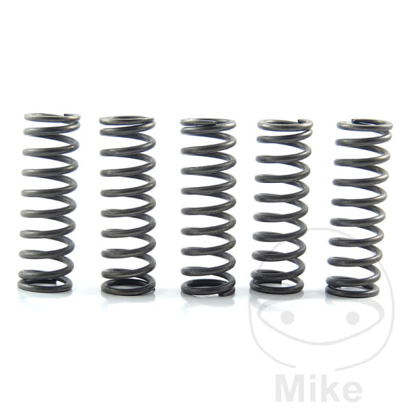 Ressorts dembrayage renforc&eacute;s Kawasaki ZZR 1400 Suzuki GSF GSX 1250 2006-2015