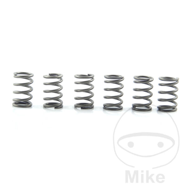 Clutch springs reinforced for Suzuki GSX 1300 2000-2007