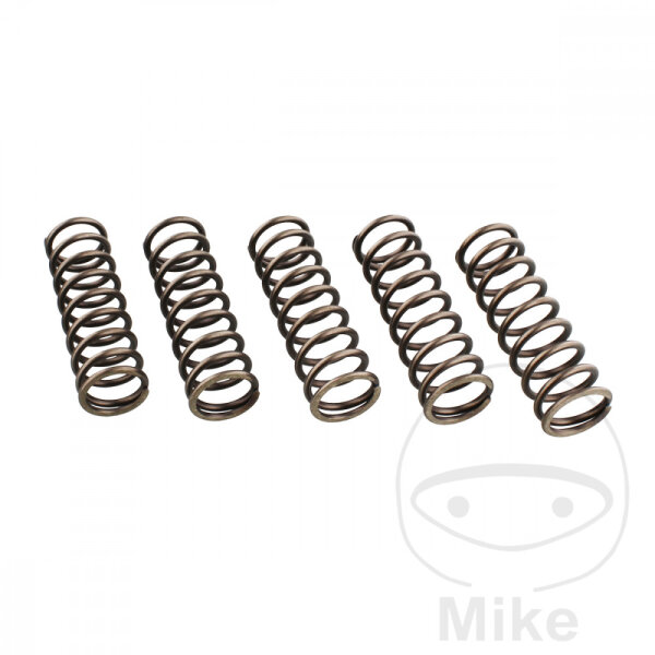 Molle della frizione rinforzate per BMW F 650 700 800 2006-2019