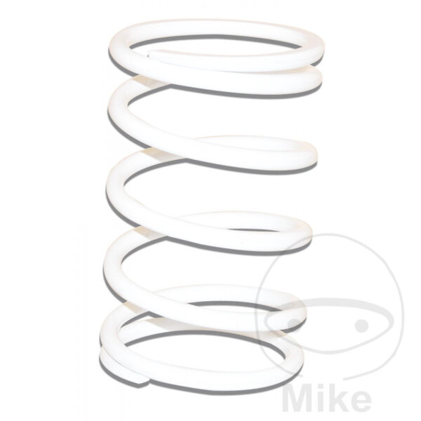 Back pressure spring for Aprilia Atlantic 500 Gilera Fuoco 500