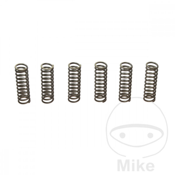Resortes de embrague reforzados Yamaha FZ FZ6 FZR FZX TDM TRX XJ XJ6 YZF YZF-R6