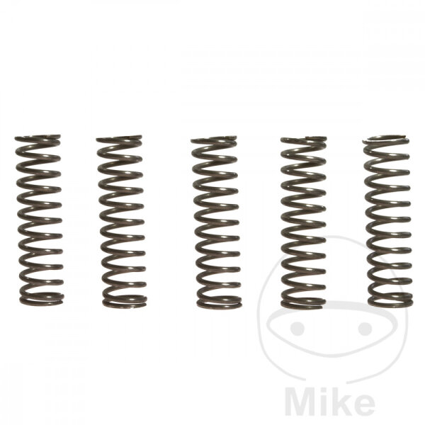 Clutch springs reinforced for Kawasaki ZX-12R 1200 ZX-9R 900 Ninja 1998-2006