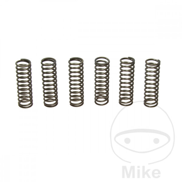 Molle della frizione rinforzate per Suzuki GS 500 1989-2008