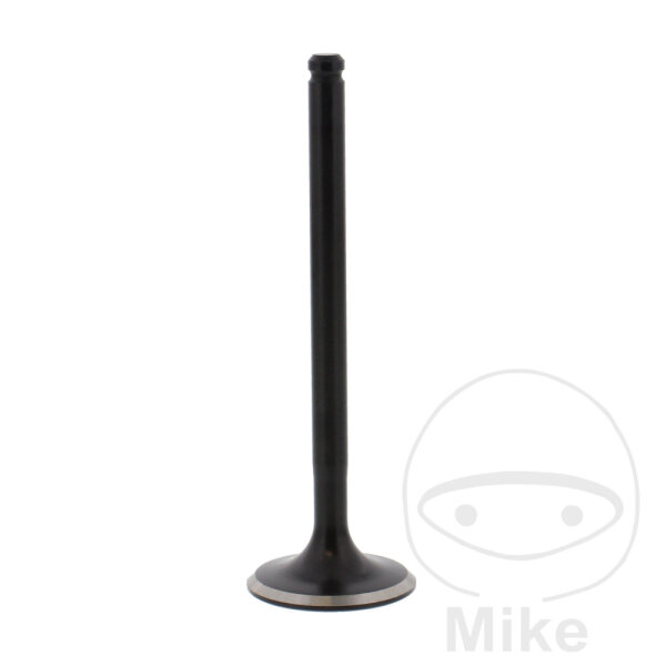 V&aacute;lvula de escape para Honda GB 500 Clubman SLR 650 XR 600 R