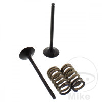 Ventil Satz Auslass + Federn f&uuml;r KTM EXC-F 250 4T...