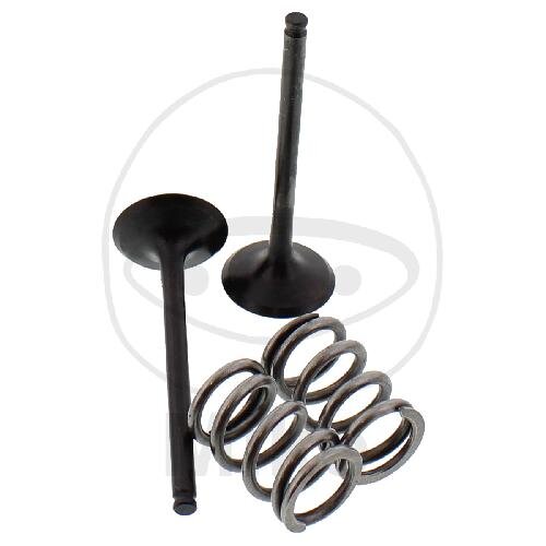 Valve set exhaust + springs for Suzuki LT-R 450 Quadracer