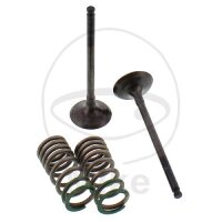 Ventil Satz Auslass + Federn f&uuml;r Yamaha WR 250 F YZ...