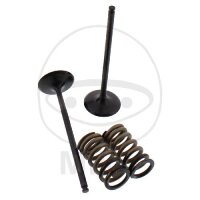 V&aacute;lvula juego admisi&oacute;n + muelles para KTM...