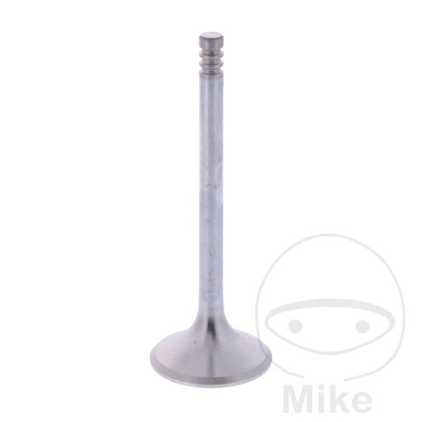V&aacute;lvula de escape para BMW R 65 G/S 2Serie LS R 65 3Serie Monolever