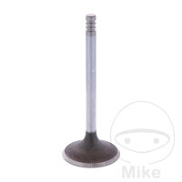 V&aacute;lvula de admisi&oacute;n para BMW R 65 G/S...