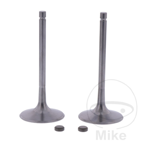 Valve set intake OE for BMW G 450 X