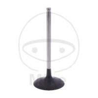 V&aacute;lvula de admisi&oacute;n OE para BMW R 1200 RS...