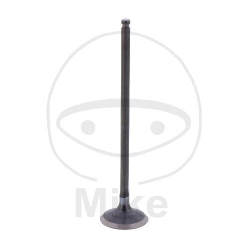 V&aacute;lvula de escape OE para Yamaha FZ6 S2 600 NAHG ABS