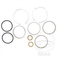 Kit de reparaci&oacute;n de horquillas para Triumph...