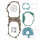 Complete set of seals for Peugeot Vivacity 50 # 2011-2012