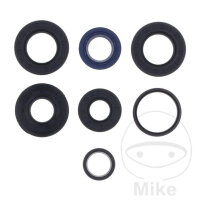 Engine gasket set for AGM Fighter 25 50 Jonway YY50QT-28D...