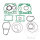 Set guarnizioni cilindro per Gas Gas EC 200 250 300 # 1999-2008