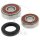 Jeu de roulements de roue arri&egrave;re complet pour Honda CL 250 XL 200 500 XR 250 500