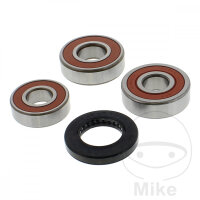 Set di cuscinetti ruota completo posteriore per Honda CB...
