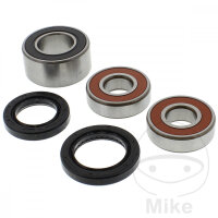 Set di cuscinetti ruota completo posteriore per Honda CBR...