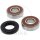 Wheel bearing set complete front for Suzuki DL GSF 650