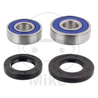 Set di cuscinetti ruota completo posteriore per Honda XLR...