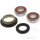 Wheel bearing set complete front for Honda CN 250 NES PES SH 150 SJ SRX 50