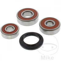 Set di cuscinetti ruota completo posteriore per Honda AFS...