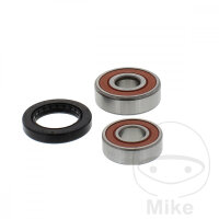 Set di cuscinetti ruota completo posteriore per Honda CB...
