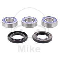 Set di cuscinetti ruota completo posteriore per Yamaha DT...