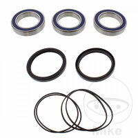 Set di cuscinetti ruota completo posteriore per Honda TRX...