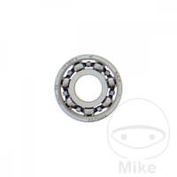 Rodamiento de bolas 6000 C3 Bomba de agua para Ducati 821...