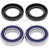 Set di cuscinetti ruota completo posteriore per...