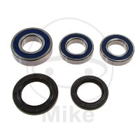 Set di cuscinetti ruota completo posteriore per Yamaha...