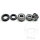 Wheel bearing set complete rear for Honda FMX FX NX SLR XRV 650 XLV XL-V 600