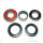 Jeu de roulements de roue arri&egrave;re complet pour Yamaha FZS YZF-R1 1000 XJR 1300