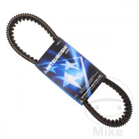 Correa trapezoidal Mitsuboshi para Yamaha YFM 350 FWA...