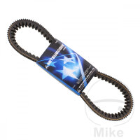 Correa trapezoidal Mitsuboshi para Yamaha YFM 700 FWAD...