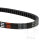 Cinghia trapezoidale JT Standard per Honda SFX 50 SRX 50 Shadow Peugeot SV 50 TT