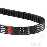 Cinghia trapezoidale JT Standard per Honda FES 125...