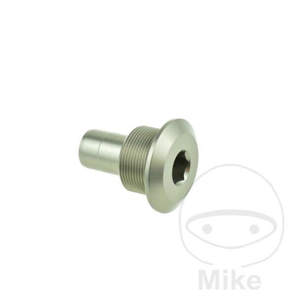 Tourillon de bras oscillant droit pour BMW K 1200 R 850 1100 1150