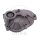 Couvercle dengrenage pour Piaggio Free 25 50 NRG NTT Quartz Sfera 50