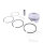 Piston set Athena for Piaggio Beverly Carnaby MP3 X7 X8 X9 XEvo 250