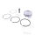 Piston set Athena for Piaggio Beverly Carnaby MP3 X7 X8 X9 XEvo 250