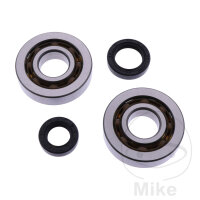 Crankshaft bearing set for Aprilia Amico Area Gulliver...