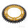 Pignone  DUA 44 denti passo 520 GO ZF 126 / 146