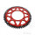 Pignone  DUA 56 denti passo 428 RT ZF 100 / 120
