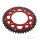 Pignone  DUA 50 denti passo 420 RT ZF 100 / 120